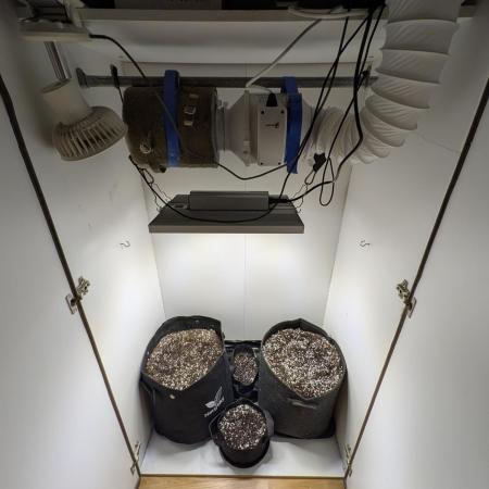 4x Toof Decay Closet Grow // XS 1500 Pro