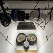 Toof Decay Closet Grow // XS 1500 Pro