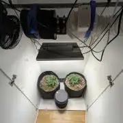 Toof Decay Closet Grow // XS 1500 Pro