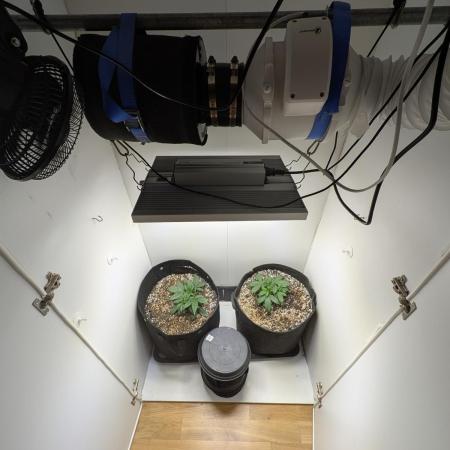 Toof Decay Closet Grow // XS 1500 Pro
