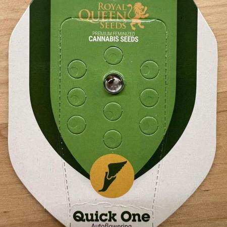 👑RQS 👑- Quick One - auto