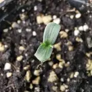 Meteor Marker 3 / FC-E4800 /90x60x140