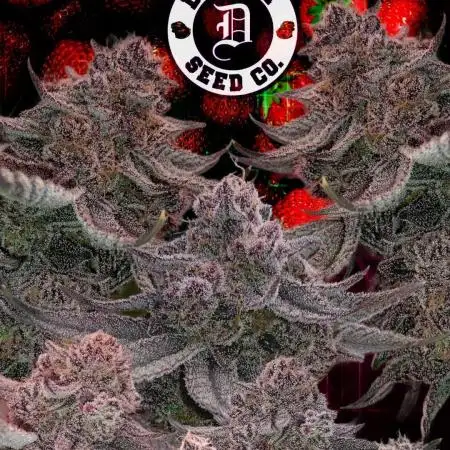 STRAWBERRY TRUFFLE