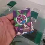 Delicius seeds Garden mix
