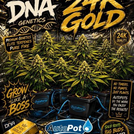 DNA 24K Gold with Auto Pots