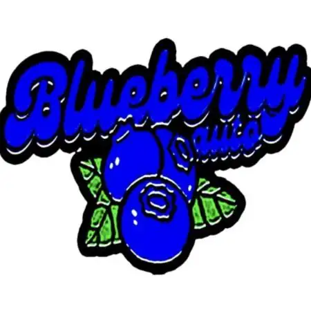 Blueberry Auto