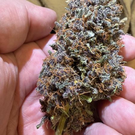 FB Purple Haze/Gorilla Skittlez Coco