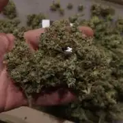 Break-up cake auto