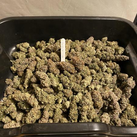 Barney´s for my own pleasure