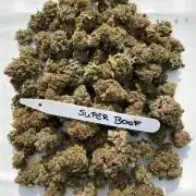 Barneys Super Boof