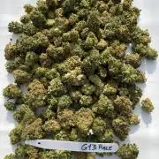 Barneys G13 Haze Fem