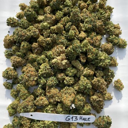 Barneys G13 Haze Fem
