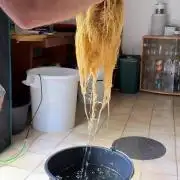 AI helps run DWC SMZ