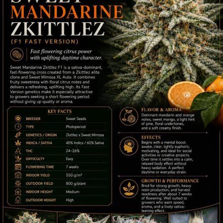AI helps run DWC SMZ