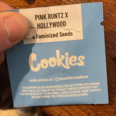 Pink Runtz x Hollywood (Cookies)