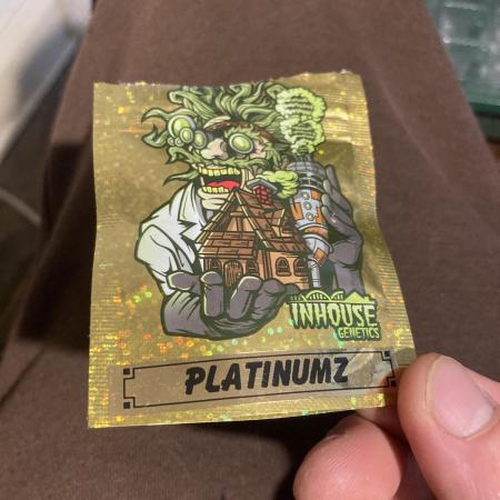 PlatinumZ (In House Genetics)