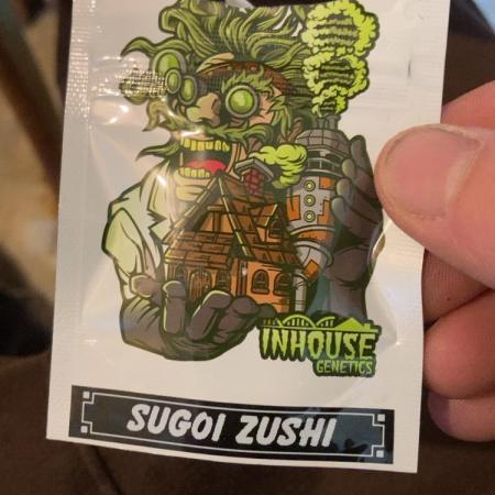 Sugoi Zushi (In House Genetics)