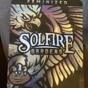 Trich Beast (Solfire Gardens)