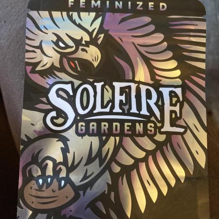 Trich Beast (Solfire Gardens)