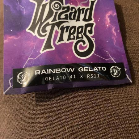 Rainbow Gelato (Wizard Trees)