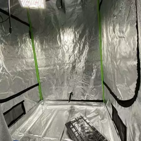 Winter indoor grow