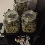 AK47 auto