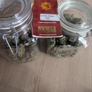 Gorilla Zkittlez ( Barney's )