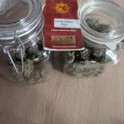 Gorilla Zkittlez ( Barney's )