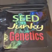 GMO x Sherb Crasher