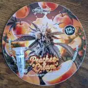 Peaches & Cream