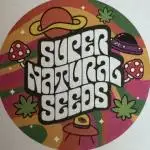 Purple Tangie Auto - Supernatural Seeds