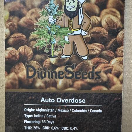 AUTO OVERDOSE - Divine Seeds