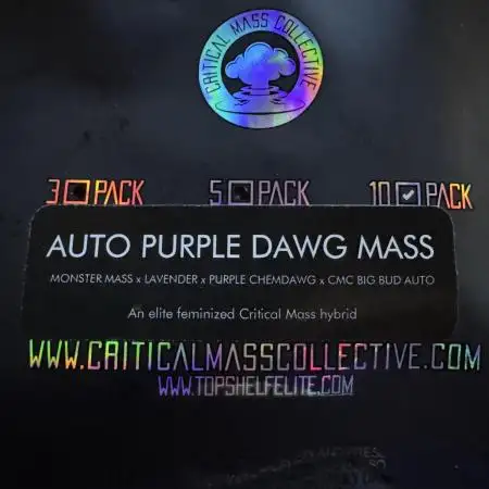 Auto Purple Dawg Mass - Critical Mass Co