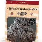 GDP Auto X Gumberry Auto-Garden of Green