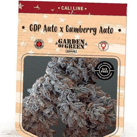 GDP Auto X Gumberry Auto-Garden of Green