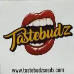 Caramel Auto - TasteBudz