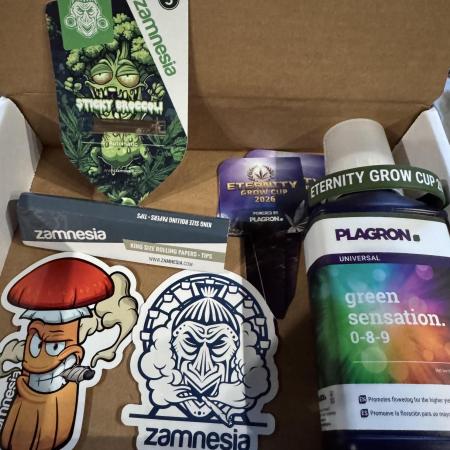 Sticky Broccoli Auto-Zamnesia