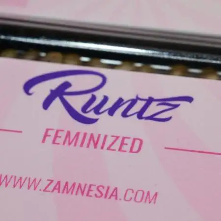 Zamnesia Runtz 8 seeds custom made room.