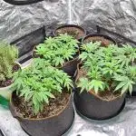 GSC 4x4