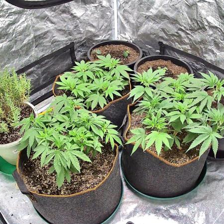 GSC 4x4