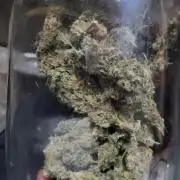Sourdiesel and Blood moon gelato auto