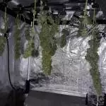 RQS Northern Lights Auto - My first time