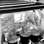 Three out of Five in a Four