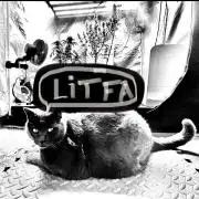 Three out of Five in a Four