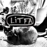 Three out of Five in a Four