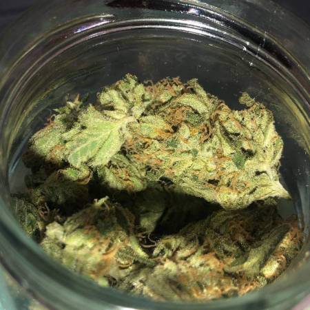 Tangerine dream) cfl