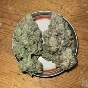 Crystal METH, Weed. Cheese | Fem, Auto
