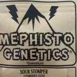 Sour stomper 2