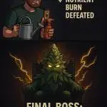 Meme of the Month