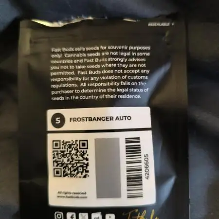 Frostbanger Auto LED